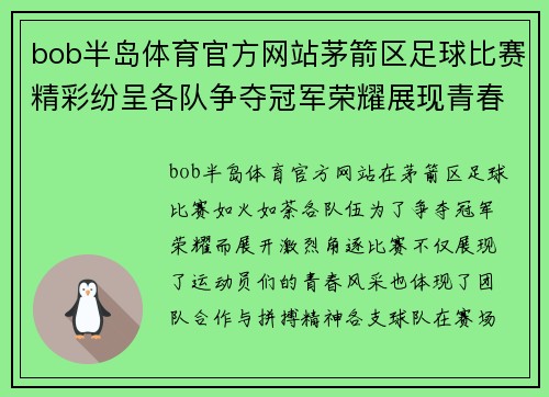 bob半岛体育官方网站茅箭区足球比赛精彩纷呈各队争夺冠军荣耀展现青春风采